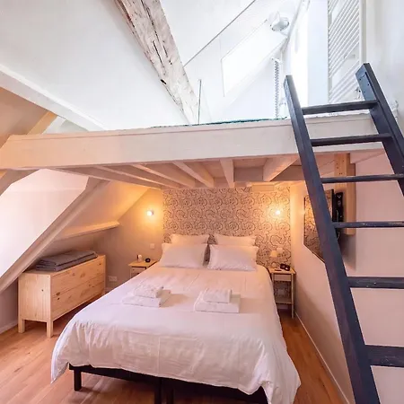 Apartamento Maison De Charme Avec Terrasse, Hypercentre